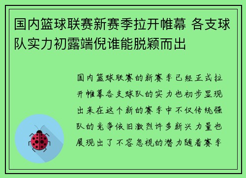 国内篮球联赛新赛季拉开帷幕 各支球队实力初露端倪谁能脱颖而出